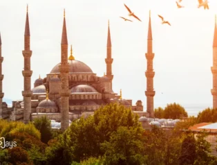 Marka İmajını Güçlendiren Web Site Detayları