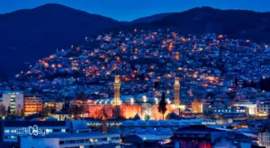 Tasarımda Güven Veren Renk ve Tipografi Seçimleri